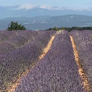 Provence Luberon Location Gite Chez Marcelle Apartment